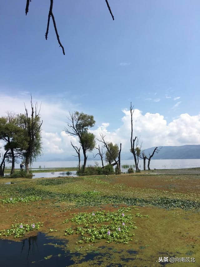 一场说走就走的旅行，大理2天旅游小攻略