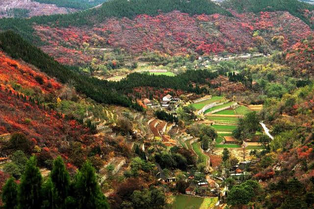 河南（林州）免费景点，都在这儿！（建议收藏）