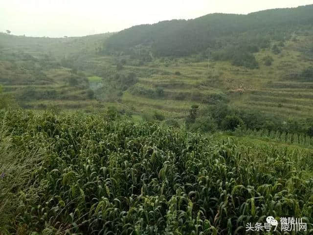 陵川小番底村：挖掘传统文化，发展旅游事业