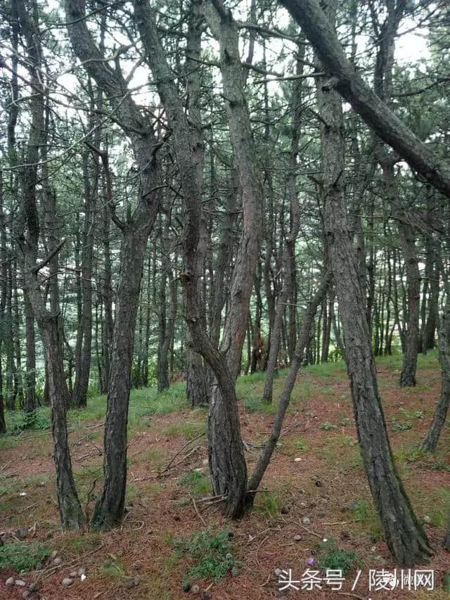 陵川小番底村：挖掘传统文化，发展旅游事业