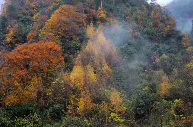 三省自驾光雾山攻略 带你去看亚洲最大红叶地毯