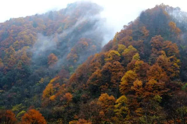 三省自驾光雾山攻略 带你去看亚洲最大红叶地毯