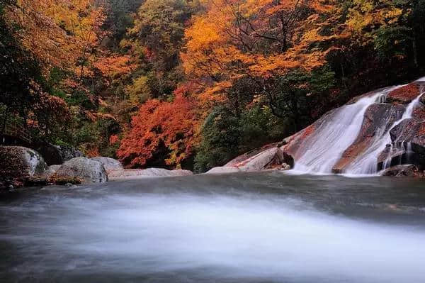 三省自驾光雾山攻略 带你去看亚洲最大红叶地毯