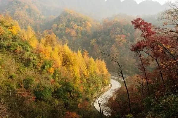 三省自驾光雾山攻略 带你去看亚洲最大红叶地毯