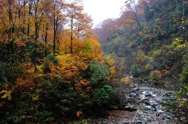 三省自驾光雾山攻略 带你去看亚洲最大红叶地毯