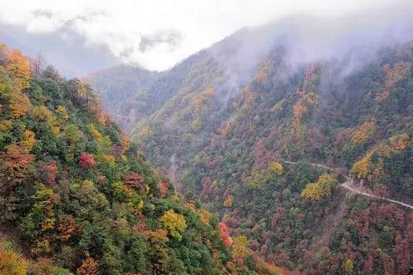 三省自驾光雾山攻略 带你去看亚洲最大红叶地毯