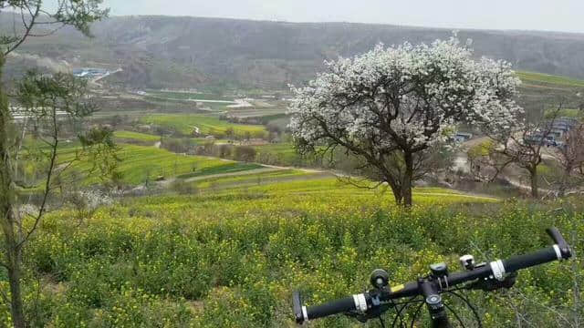 庆阳旅游：魅力蒲河川