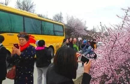 4月10日，第十五届宁夏六盘山山花节将在彭阳隆重启幕！