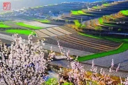 4月10日，第十五届宁夏六盘山山花节将在彭阳隆重启幕！