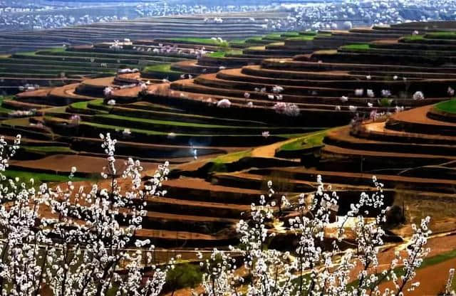 4月10日，第十五届宁夏六盘山山花节将在彭阳隆重启幕！