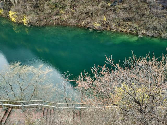 夏日旅游好去处，关山草原或许是一个不错的选择