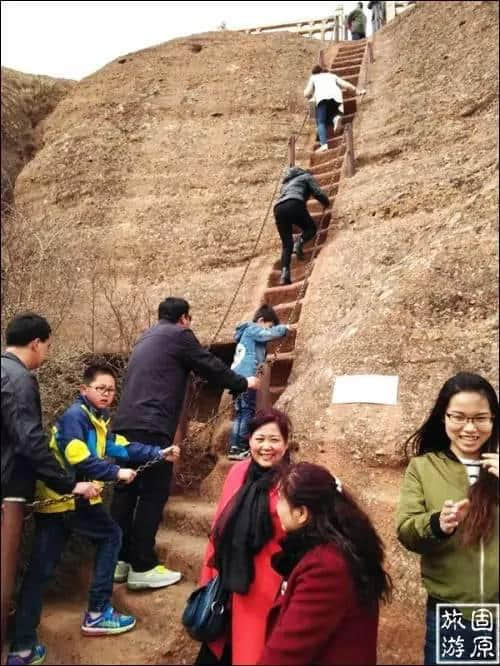 清明节假日固原旅游升温，春赏醉美花海正当其时！