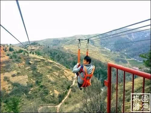 清明节假日固原旅游升温，春赏醉美花海正当其时！