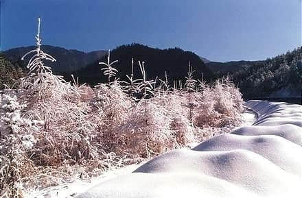 旅游美景，安康千家坪