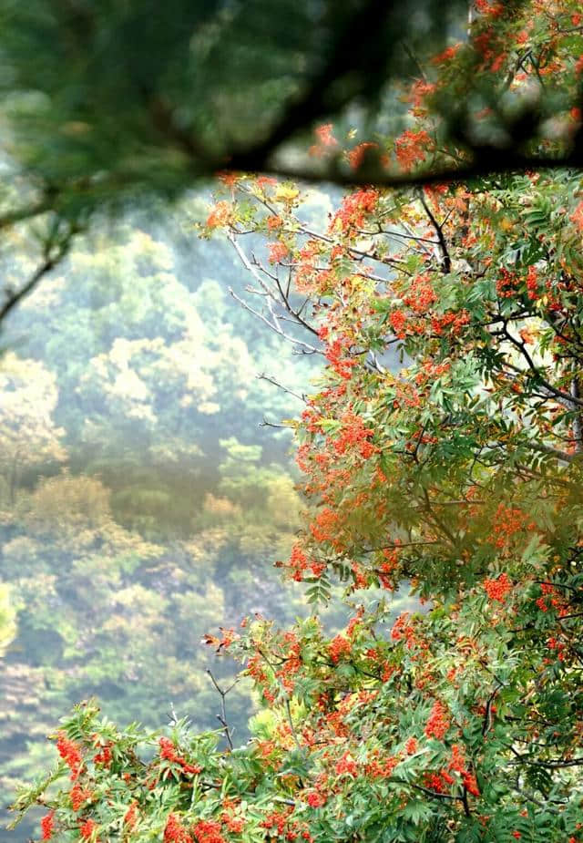 山东临沂最新自驾游旅游景点热度排名，趁着夏天还没来一起去旅游