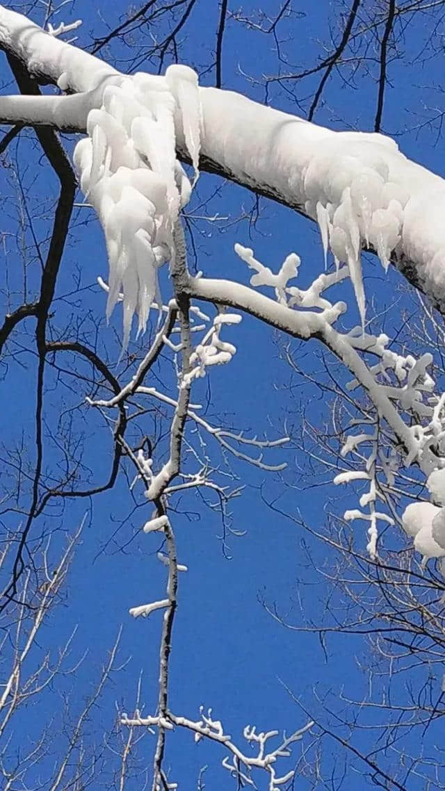 “沂蒙雪谷”，陪你红红火火过大年！