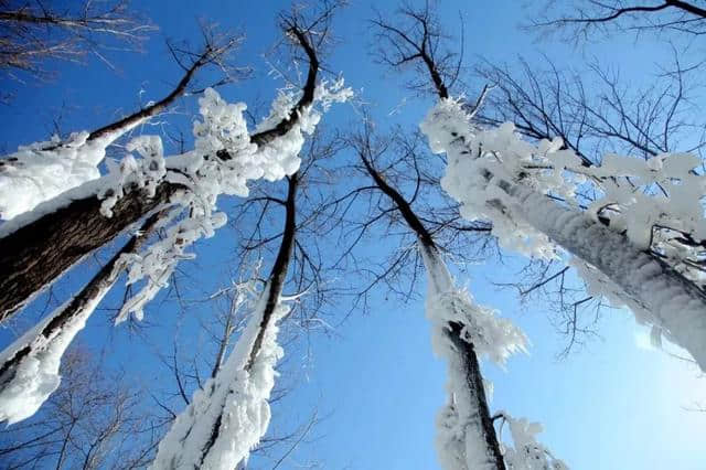 “沂蒙雪谷”，陪你红红火火过大年！