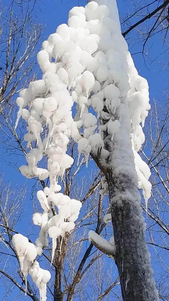 “沂蒙雪谷”，陪你红红火火过大年！