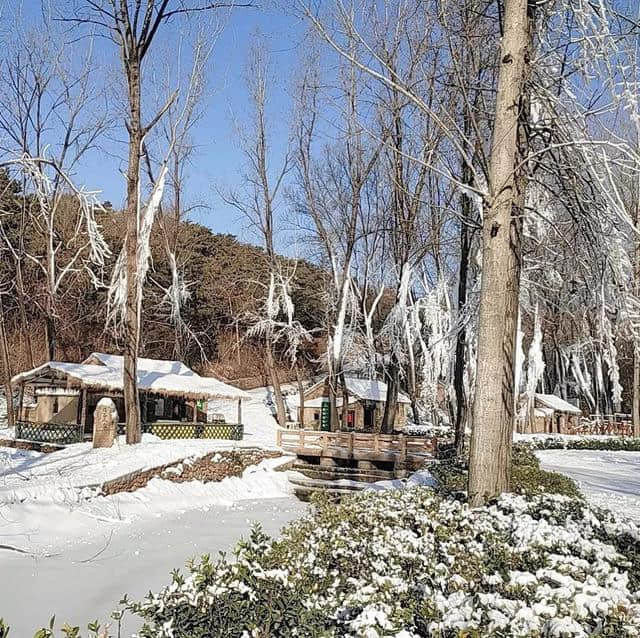 “沂蒙雪谷”，陪你红红火火过大年！