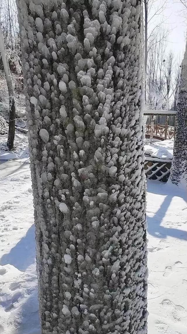 “沂蒙雪谷”，陪你红红火火过大年！