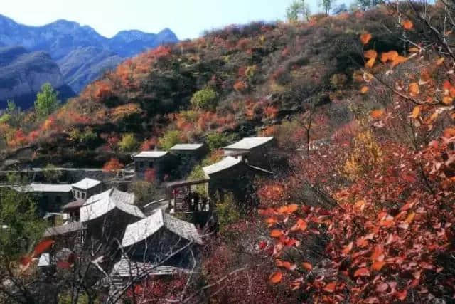 北京秋天有这么多好去处，你竟然只知道香山？！