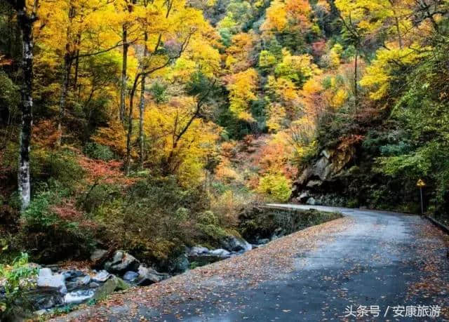 金秋旅游季丨国庆旅游去镇坪，精选线路推荐