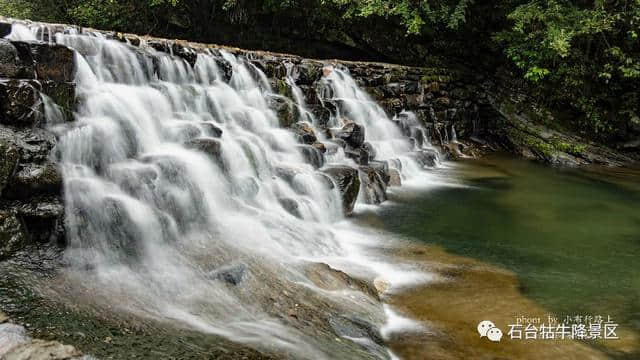 点雨绕山岚 石台牯牛降