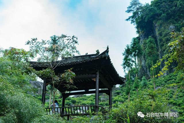 点雨绕山岚 石台牯牛降