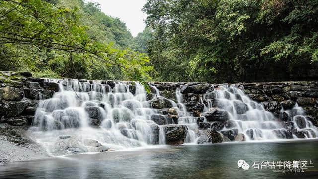 点雨绕山岚 石台牯牛降