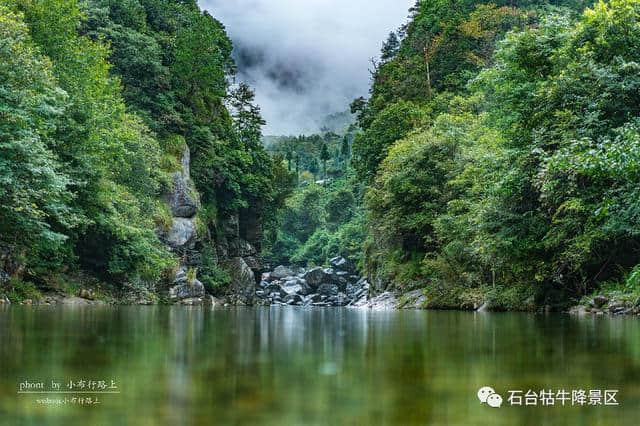 点雨绕山岚 石台牯牛降