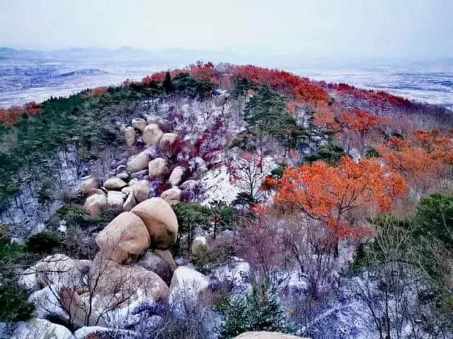 法定节假日也能用！持旅游惠民卡畅游济宁景区，办卡攻略在此！