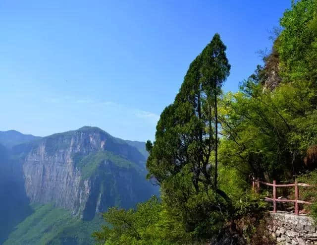 关山 观山观水观天下