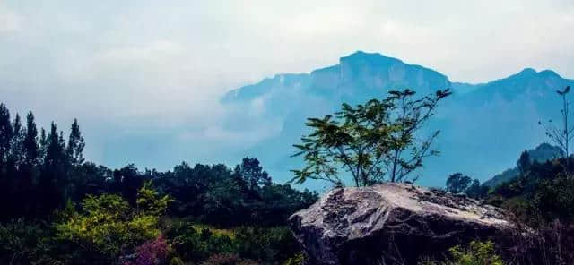 关山 观山观水观天下