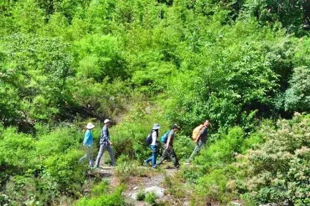 关山 观山观水观天下