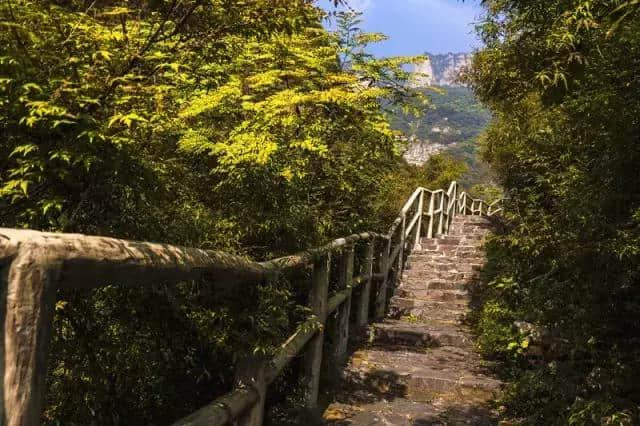 关山 观山观水观天下