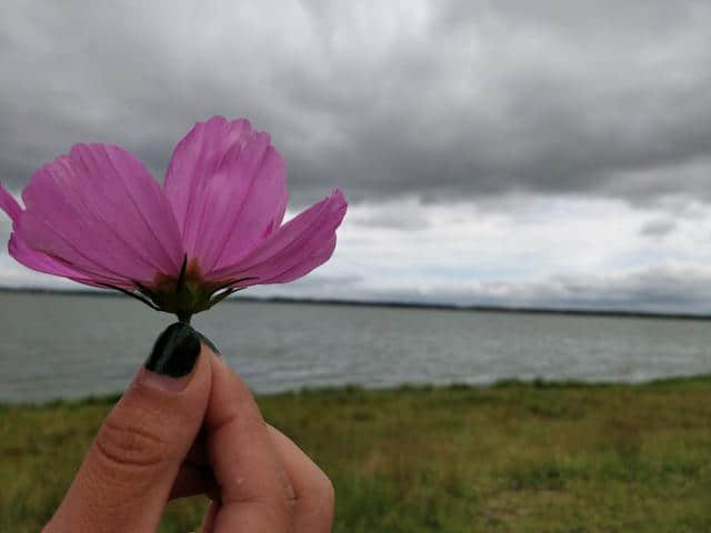 夏末自驾正当游！沽源天鹅湖游山玩水逛草原