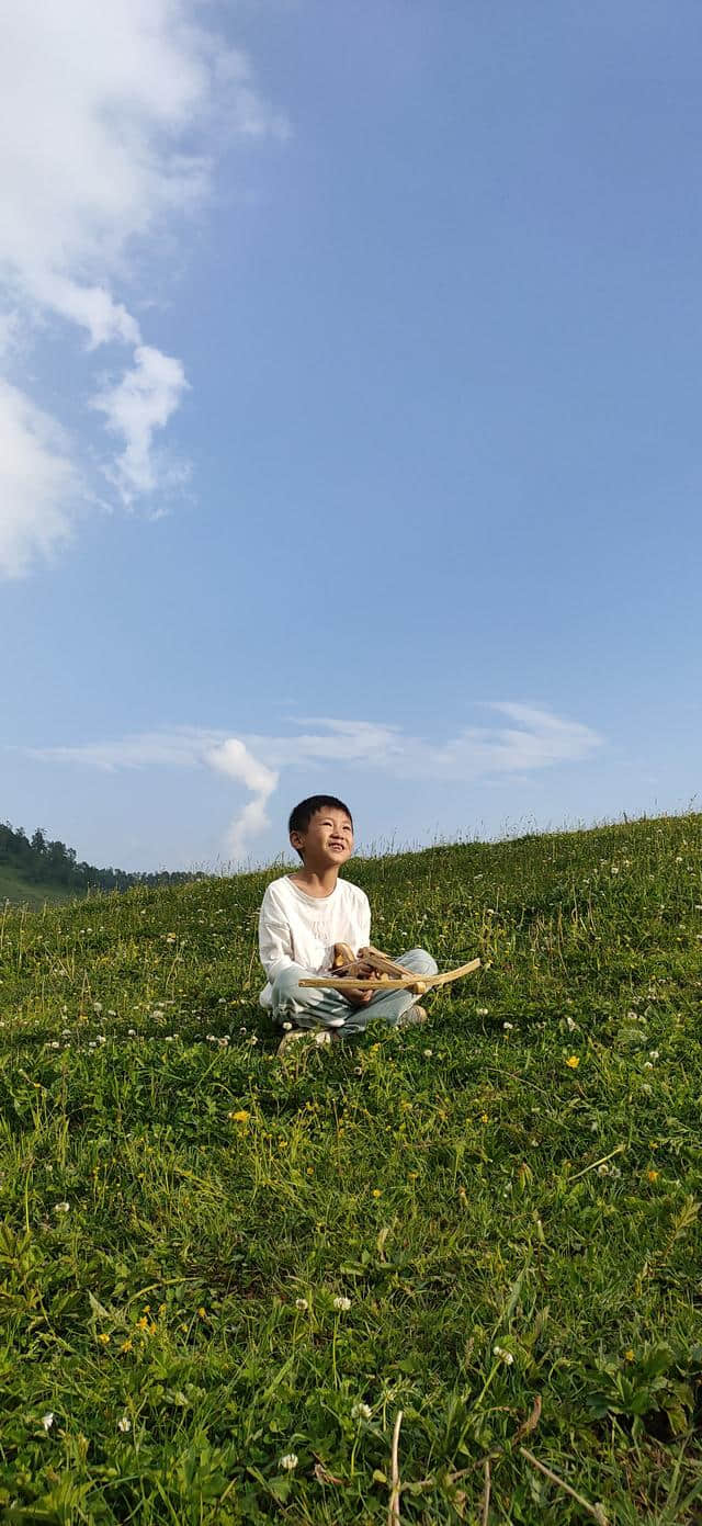 不出陕西你也能领略到草原的魅力：关山牧场