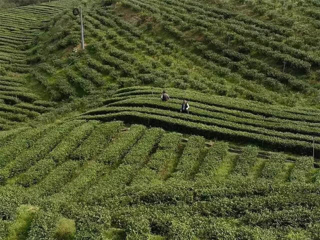 天下流水！陕西的“江南水乡”,美景如画,让人心醉.....