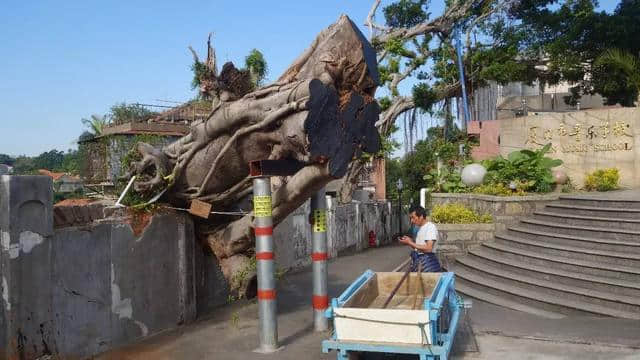 说鼓浪屿不好玩的，应该是碰到假鼓浪屿了