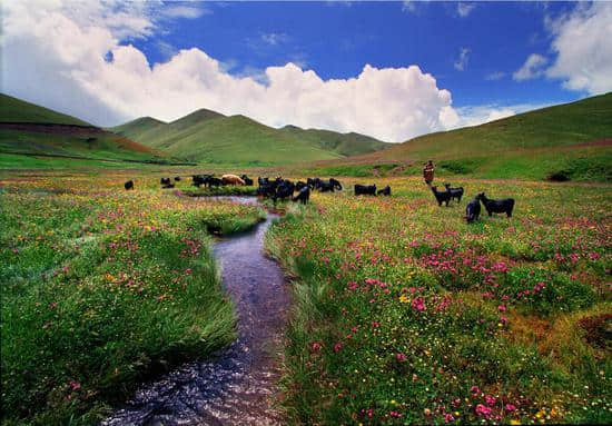 乘着高铁去曲靖 从冬到春看遍自然美景