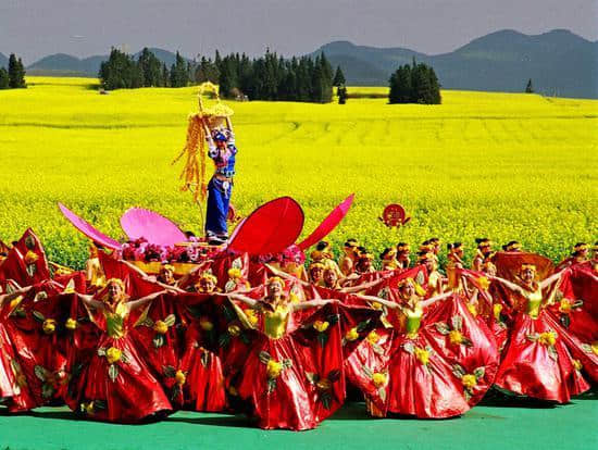 乘着高铁去曲靖 从冬到春看遍自然美景