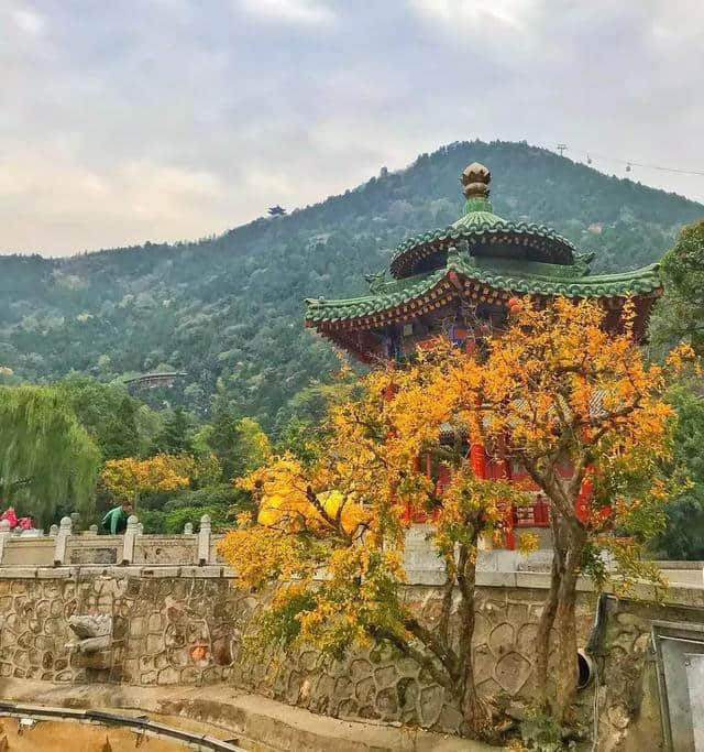 西安，来一场说走就走的旅行（超实用西安四天三夜双飞旅行攻略）