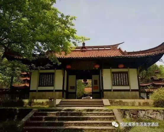 悦系旅游｜盘他！2019武夷山最全游玩攻略