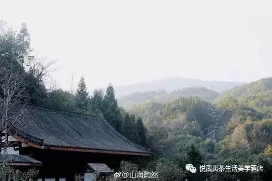 悦系旅游｜盘他！2019武夷山最全游玩攻略