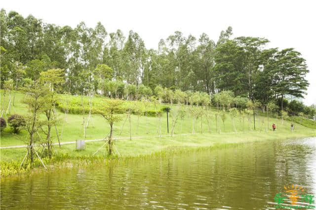 番禺大学城中心湖风景优美，广州亲子秋天游玩好去处