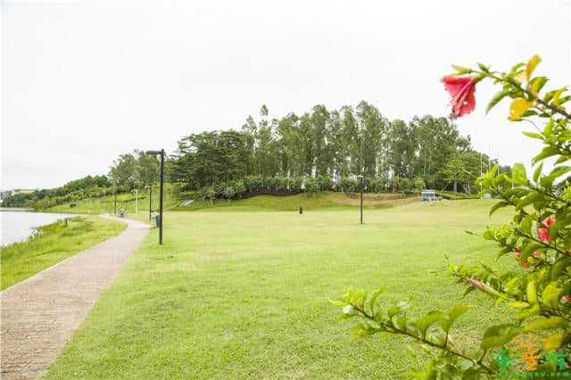 番禺大学城中心湖风景优美，广州亲子秋天游玩好去处