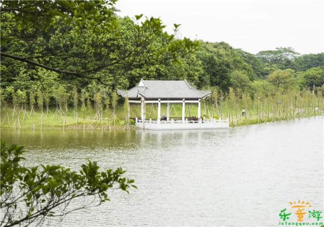 番禺大学城中心湖风景优美，广州亲子秋天游玩好去处