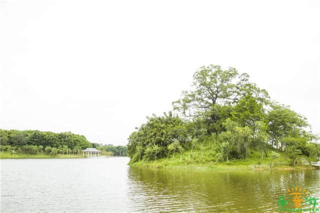 番禺大学城中心湖风景优美，广州亲子秋天游玩好去处