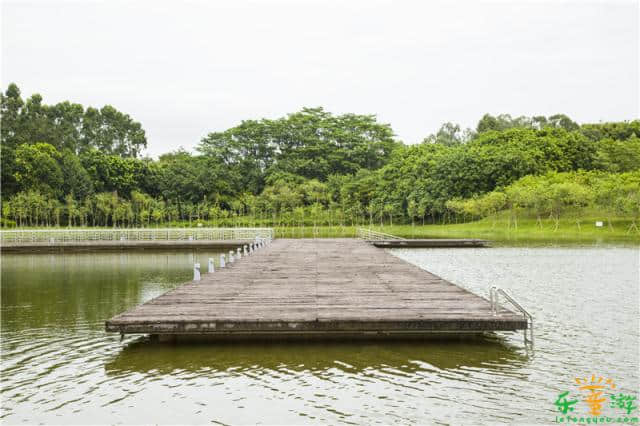 番禺大学城中心湖风景优美，广州亲子秋天游玩好去处