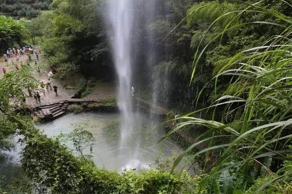 炎炎夏日｜武夷山看山玩水深度攻略